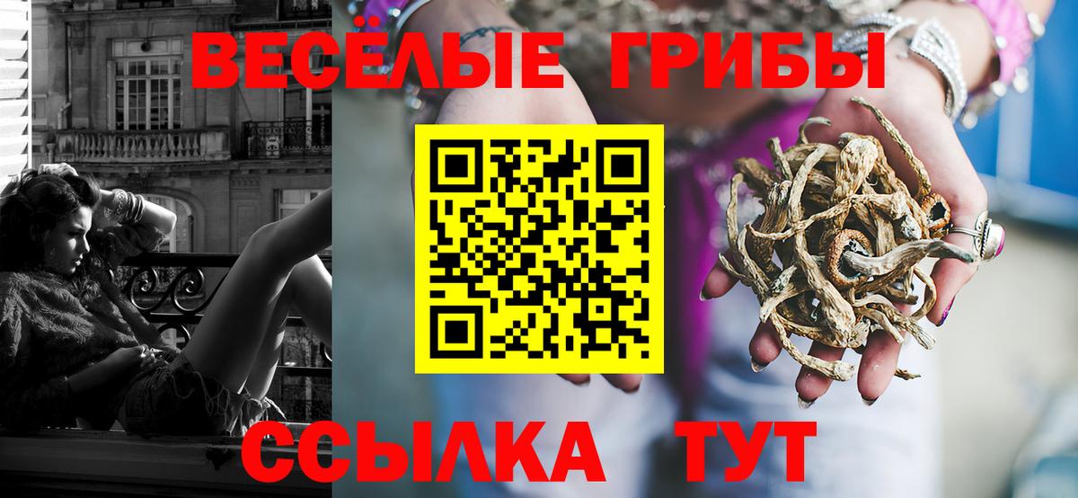Галлюциногенные грибы Psilocybe  Вход с VPN  Усинск 