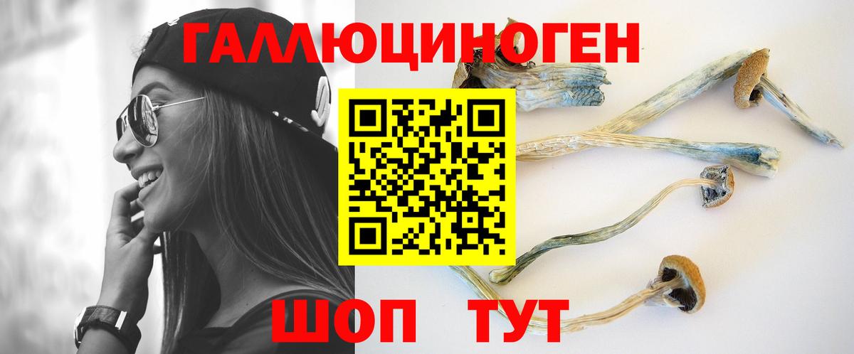 Псилоцибиновые грибы мухоморы Усинск